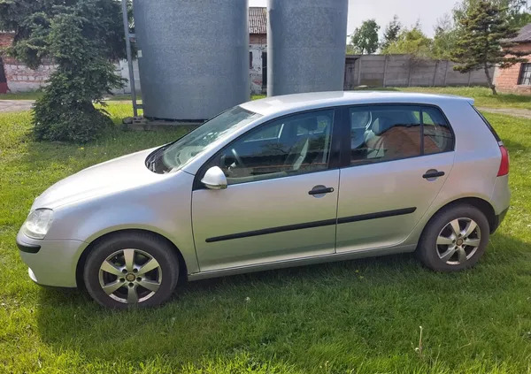 łódzkie Volkswagen Golf cena 9500 przebieg: 187900, rok produkcji 2005 z Wiązów